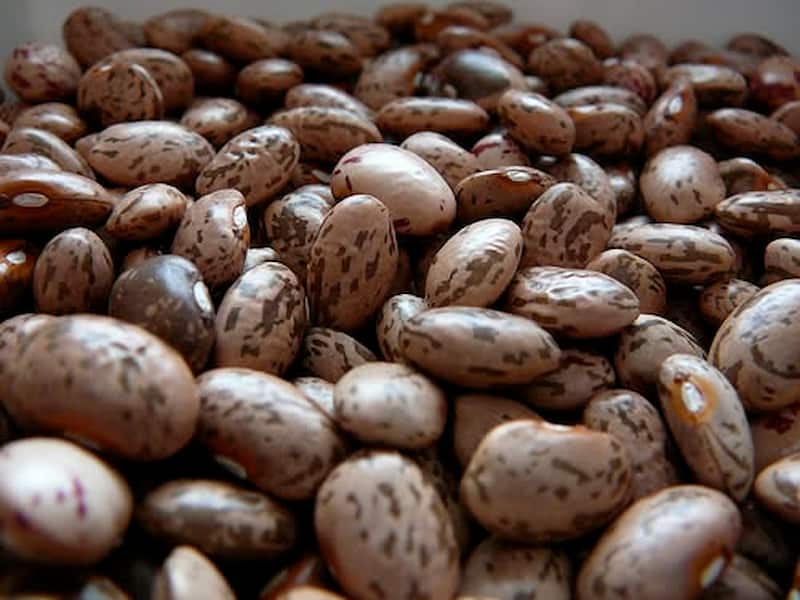 فروش لوبیا چیتی مرغوب + قیمت خرید به صرفه